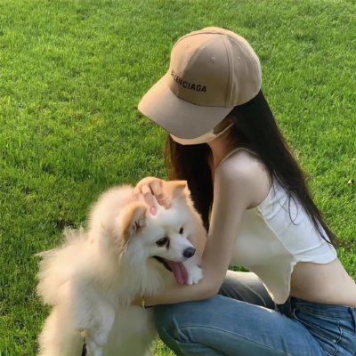 飞盘犬